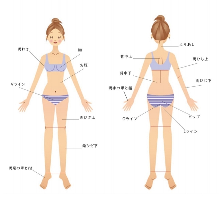 脱毛メニューの外観